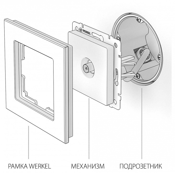 ТВ-розетка оконечная без рамки Werkel  W1183006, фото 2