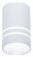 Накладной светильник Ambrella Light TN TN236