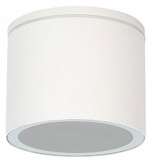 Накладной светильник Arte Lamp Piautos A1913PF-1WH, фото 1