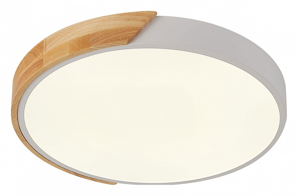 Накладной светильник Natali Kovaltseva Scandinavian LED LAMPS 81181, фото 3