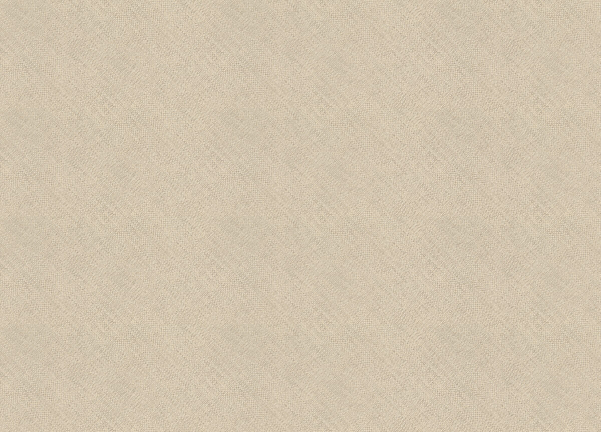 970968 Обои Rasch (1*6) 10,00x1,06 винил на флизелине, фото 2