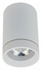 Накладной светильник Aployt Edda APL.0053.09.10