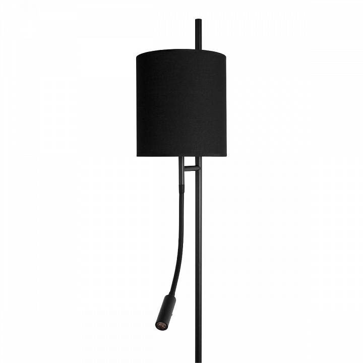 Торшер с подсветкой Loft it Ritz 10253F/B Black, фото 4