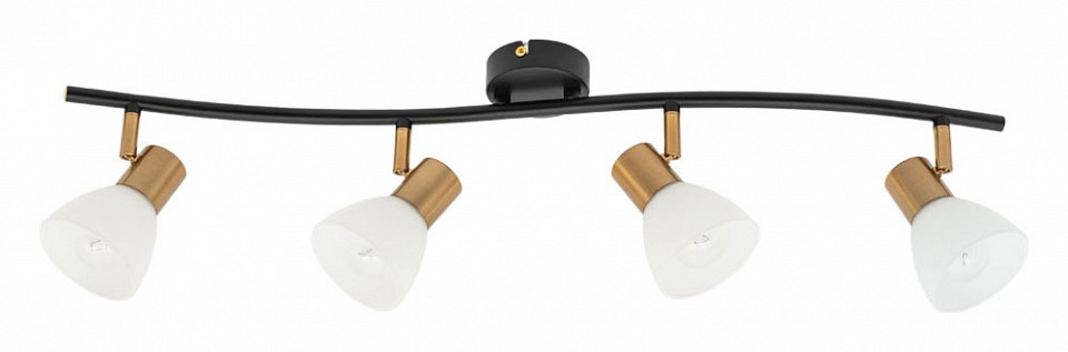 Спот Arte Lamp Falena A3117PL-4BK, фото 3