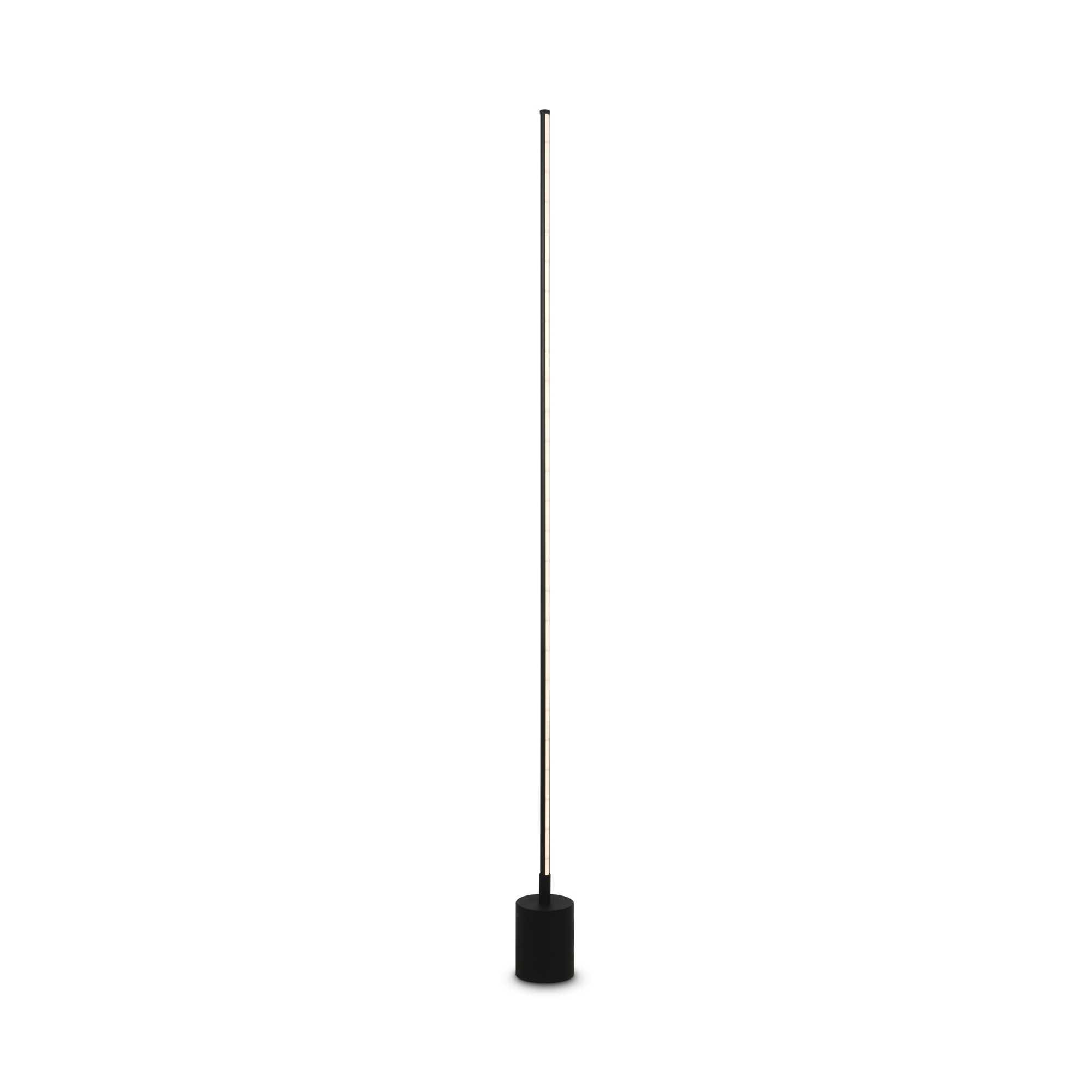 Напольный светильник (торшер) Maytoni MOD147FL-L20BK1, фото 1