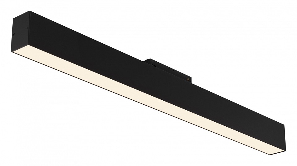 Накладной светильник Maytoni Technical BASIS TR012-2-20W3K-B