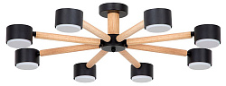 Потолочная люстра Arte Lamp TENDA A1624PL-8BK, фото 1