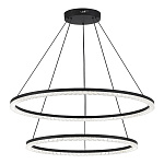 SL1018.403.02 Светильник подвесной ST-Luce черный/прозрачный LED 1*96W 4000K ЭВКЛИДИК, фото 1