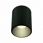 Накладной светильник LIGHTERA Shamrock LE201CL-1BA, фото 3