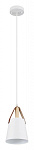 Подвесной светильник Arte Lamp Thomas A7032SP-1WH, фото 3