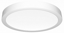 Накладной светильник Citilux Галс CL5522N