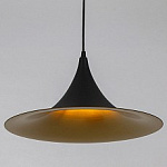 Подвесной светильник Arte Lamp Carmel A7080SP-1BK, фото 1