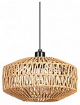 Подвесной светильник Arte Lamp BRUSHWOOD A7087SP-1BK