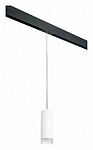 Подвесной светильник Lightstar Rullo PRORP48630, фото 1