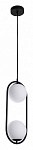 Подвесной светильник Arte Lamp Matisse A7745SP-2BK, фото 3