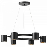 Подвесная люстра Lampit NATI TS P1999-6 BK, фото 4
