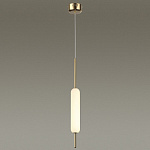 Подвесной светильник Odeon Light Reeds 4794/12L, фото 4
