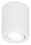 Накладной светильник Ambrella Light TN TN225