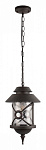 Подвесной светильник Loft it Prato 100021P, фото 3