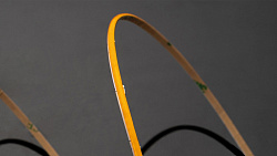 Лента светодиодная SWG PRO SWG-COB SWG-COB400-24-4.8-WW, фото 4