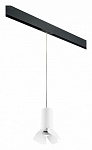 Подвесной светильник Lightstar Rullo PRORP486436, фото 2