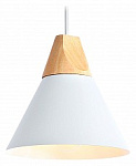 Подвесной светильник Ambrella Light TR TR8195