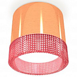 Накладной светильник Ambrella Light XS XS8122022