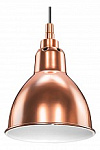 Подвесной светильник Lightstar Loft 765013