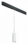 Подвесной светильник Lightstar Rullo PRORP486, фото 2