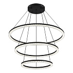 SL1018.403.03 Светильник подвесной ST-Luce черный/прозрачный LED 1*130W 4000K ЭВКЛИДИК, фото 3