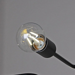 Потолочная люстра ILLUMICO IL2000 IL2000-4C-05 BK, фото 4