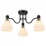 Потолочная люстра Ambrella Light TR TR303303, фото 2
