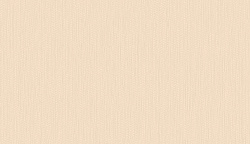 Обои HYGGE Roll (Dacha) арт Hg16 004/1 флизелин, рулон 10,05х1,00 (1*6), фото 1