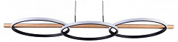 Подвесной светильник Arte Lamp Fluido A3913SP-24BK, фото 2
