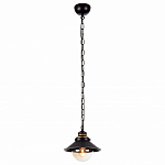 Подвесной светильник Arte Lamp Grazioso A4577SP-1CK, фото 3