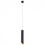 Подвесной светильник Arte Lamp Pilon-Gold A1536SP-1BK, фото 3