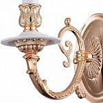 Бра Arte Lamp 8020 A8020AP-1WG, фото 4