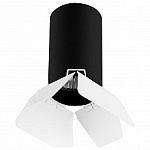 Накладной светильник Lightstar Rullo R437436