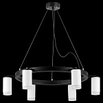 Подвесная люстра Lightstar Rullo LR0163660, фото 4