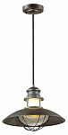 Подвесной светильник Odeon Light Dante 4164/1, фото 3