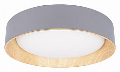 Накладной светильник Loft it Coin 10202 Grey
