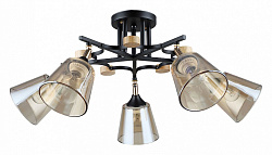 Люстра на штанге Arte Lamp Glassy A5078PL-5BK, фото 2