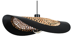 Подвесной светильник Arte Lamp Woodstock A7059SP-1BK, фото 2
