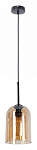 Подвесной светильник Arte Lamp Paio A7015SP-1BK, фото 3