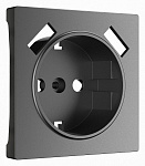 Накладка для розетки с заземлением и 2хUSB Werkel графит матовый W1179564, фото 2