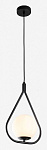 Подвесной светильник Arte Lamp Matisse A7764SP-1BK, фото 4
