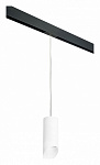 Подвесной светильник Lightstar Rullo PRORP648686, фото 2