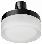 Накладной светильник Lightstar Due Hermes 210647