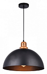 Подвесной светильник Arte Lamp Eurica A4249SP-1BK, фото 3
