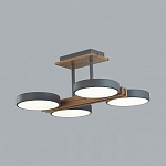 Люстра на штанге Lumion Plato 8031/72CL, фото 4